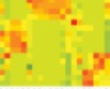 thumbnail image from paper