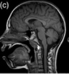 thumbnail image from paper