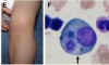 thumbnail image from paper