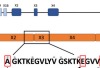 thumbnail image from paper