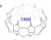 thumbnail image from paper