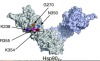 thumbnail image from paper
