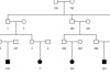 thumbnail image from paper
