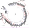 thumbnail image from paper