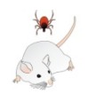 thumbnail image from paper