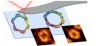 thumbnail image from paper