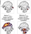 thumbnail image from paper