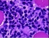 thumbnail image from paper