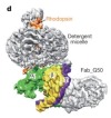 thumbnail image from paper