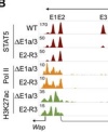 thumbnail image from paper
