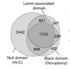 thumbnail image from paper