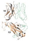 thumbnail image from paper