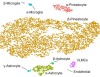 thumbnail image from paper