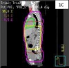 thumbnail image from paper