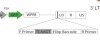thumbnail image from paper