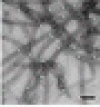 thumbnail image from paper