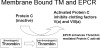thumbnail image from paper