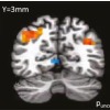 thumbnail image from paper