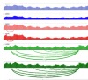 thumbnail image from paper