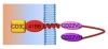thumbnail image from paper
