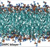 thumbnail image from paper