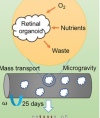 thumbnail image from paper