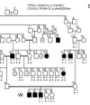 thumbnail image from paper