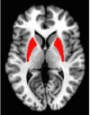 thumbnail image from paper
