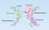thumbnail image from paper