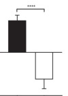 thumbnail image from paper