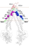 thumbnail image from paper