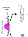 thumbnail image from paper