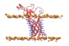 thumbnail image from paper