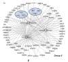 thumbnail image from paper