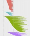 thumbnail image from paper