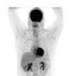 thumbnail image from paper