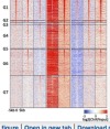 thumbnail image from paper
