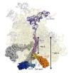 thumbnail image from paper