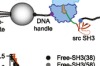 thumbnail image from paper