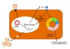 thumbnail image from paper
