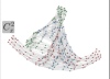 thumbnail image from paper