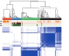 thumbnail image from paper