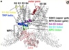 thumbnail image from paper