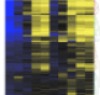 thumbnail image from paper