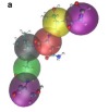 thumbnail image from paper