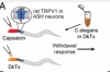 thumbnail image from paper