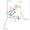 thumbnail image from paper