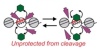 thumbnail image from paper