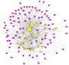 thumbnail image from paper