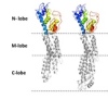 thumbnail image from paper
